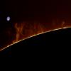 Hedgerow Solar prominence Limb NNE